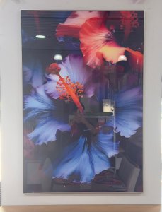 QUADRO FLOR ABSTRATA IMPRESSÃO NO VIDRO